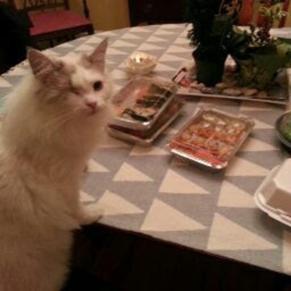 Meet your Posher, Elizabeth